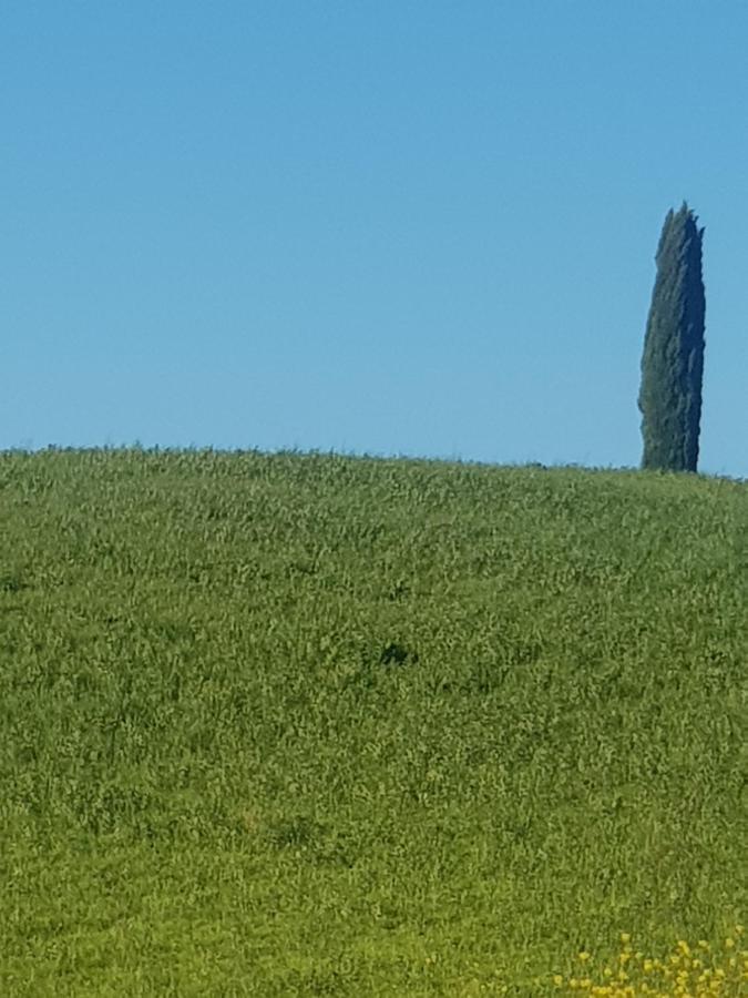 モンタルチーノCasa Per L'Osticcio Vista Sulla Val D'Orciaアパートメント エクステリア 写真