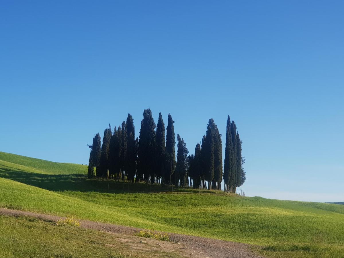 モンタルチーノCasa Per L'Osticcio Vista Sulla Val D'Orciaアパートメント エクステリア 写真