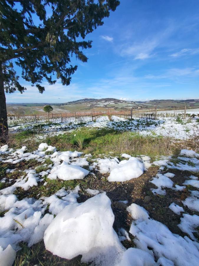 モンタルチーノCasa Per L'Osticcio Vista Sulla Val D'Orciaアパートメント エクステリア 写真